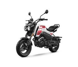 2026 CFMOTO PAPIO CL